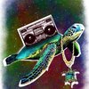 space-turtle
